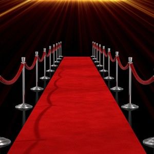 Meet your Posher, Kyra